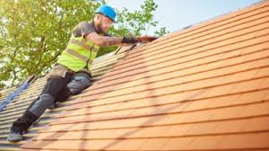 Roof Moss and Algae Removal in Lexington, TX