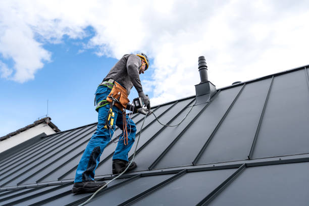 Professional Roofing Services in Lexington, TX